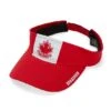 Gongshow Nucks Visey Visor -Hockey Supremacy HS20 M32 Nucks Visey 01 555x 67f73907 aebc 40e4 9952 99d9d04970e8
